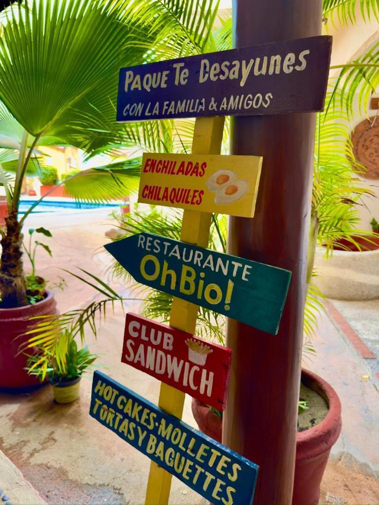 Hotel Zihuatanejo Centro מראה חיצוני תמונה
