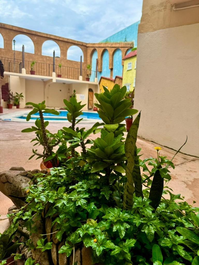 Hotel Zihuatanejo Centro מראה חיצוני תמונה